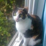 Entry image for Toast