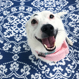 Entry image for Hallie