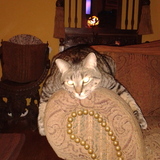 Entry image for Smokey 