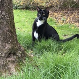 Entry image for Gus Gus