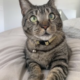 Entry image for Helen 