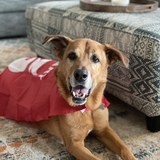 Entry image for Baker Hampton Jr