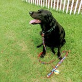 Entry image for Carlos Santana