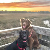 Entry image for Basil&Pepper