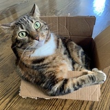 Entry image for Kiki