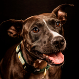 Entry image for Ava Marie