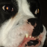 Entry image for Georgia