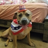 Entry image for Boobee