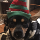 Entry image for Oliver