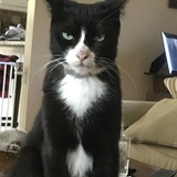 Entry image for Clarice