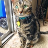 Entry image for Bynx