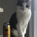 Entry image for Barley