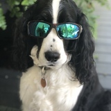 Entry image for Mackie