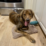 Entry image for Charlie