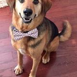 Entry image for Tobie Hood