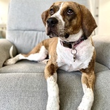 Entry image for Cali Van De Veere 