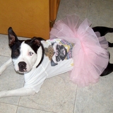 Entry image for Cress (aka Mimi)