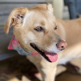 Entry image for Molly