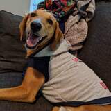 Entry image for Red Freeman