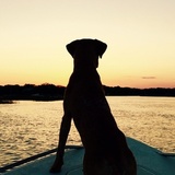 Entry image for Sedona