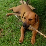 Entry image for Kinsey