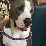 Entry image for Mr. Duke