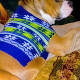 Entry image for Jackson