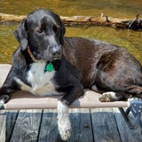 Entry image for Ellie