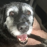 Entry image for Emma