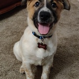 Entry image for Bruce