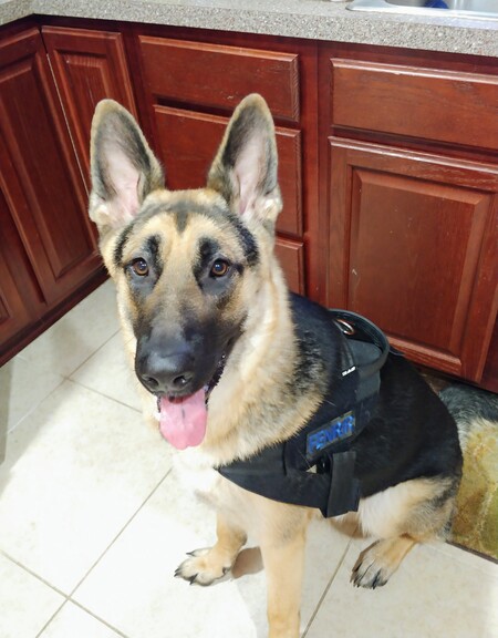 Entry image for Fenrir. Clicking this image will show a larger photo