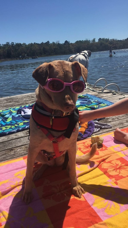 Entry image for Marilyn. Clicking this image will show a larger photo