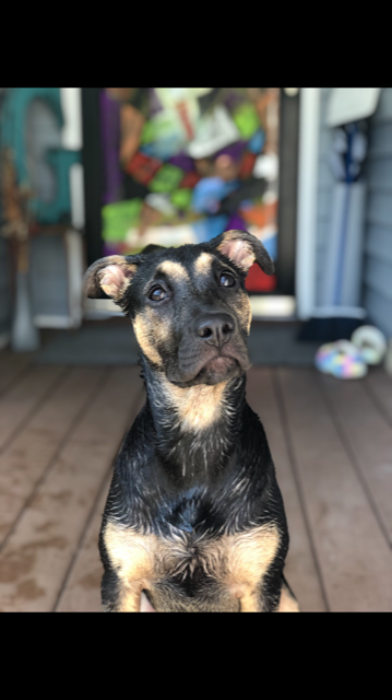 Entry image for Nahla. Clicking this image will show a larger photo