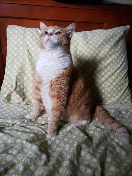 Entry image for Squirt. Clicking this image will show a larger photo