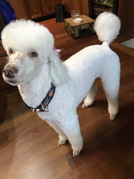 Entry image for Zana. Clicking this image will show a larger photo