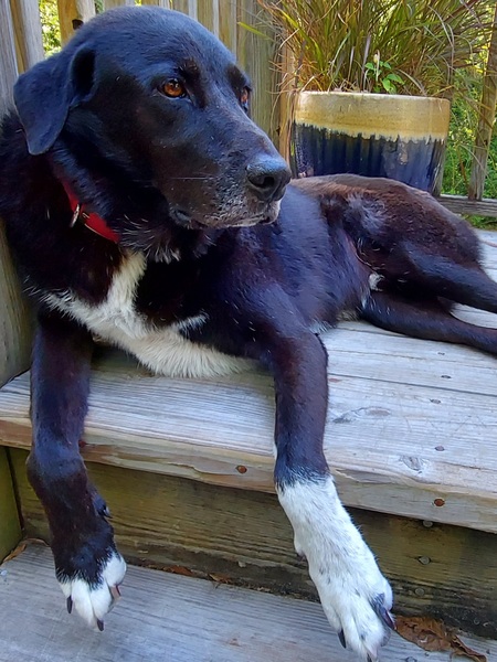 Entry image for Jackson. Clicking this image will show a larger photo