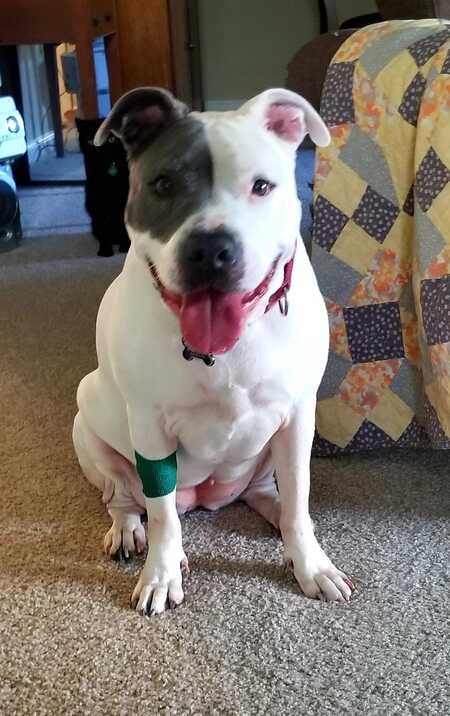 Entry image for Ashley. Clicking this image will show a larger photo