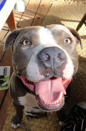 Entry image for Diablo. Clicking this image will show a larger photo