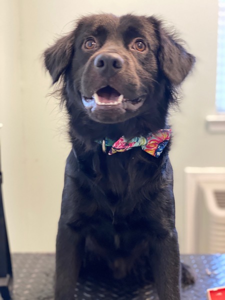 Entry image for Pete. Clicking this image will show a larger photo