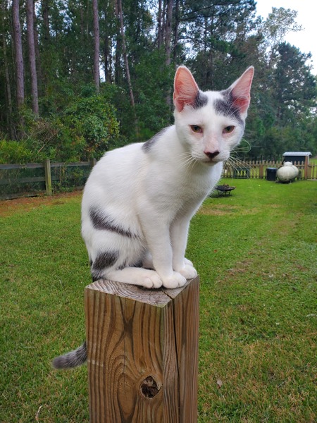 Entry image for Bjorn. Clicking this image will show a larger photo