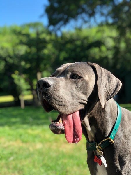 Entry image for Ashe. Clicking this image will show a larger photo