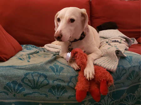 Entry image for Salem. Clicking this image will show a larger photo