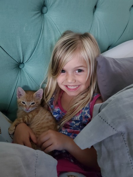 Entry image for Bear. Clicking this image will show a larger photo