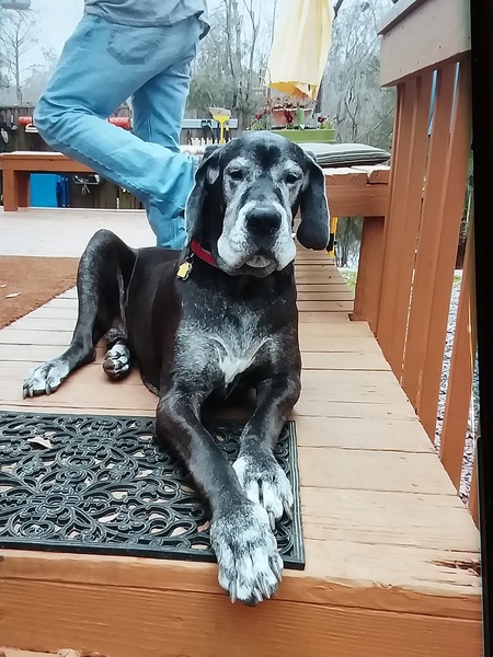 Entry image for Sakima. Clicking this image will show a larger photo