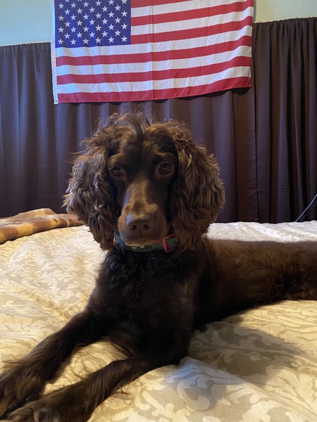 Entry image for Billy. Clicking this image will show a larger photo