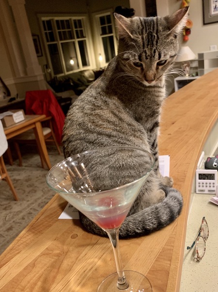 Entry image for Dora. Clicking this image will show a larger photo