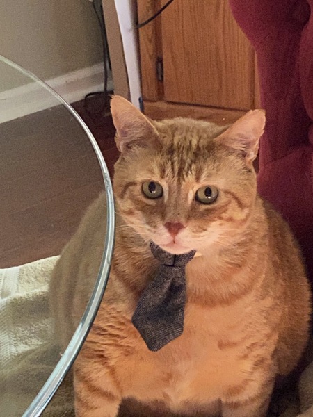 Entry image for Fat Randy. Clicking this image will show a larger photo