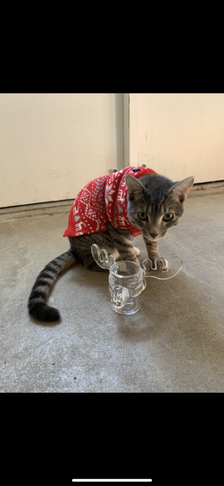 Entry image for Clark W. Griswald. Clicking this image will show a larger photo