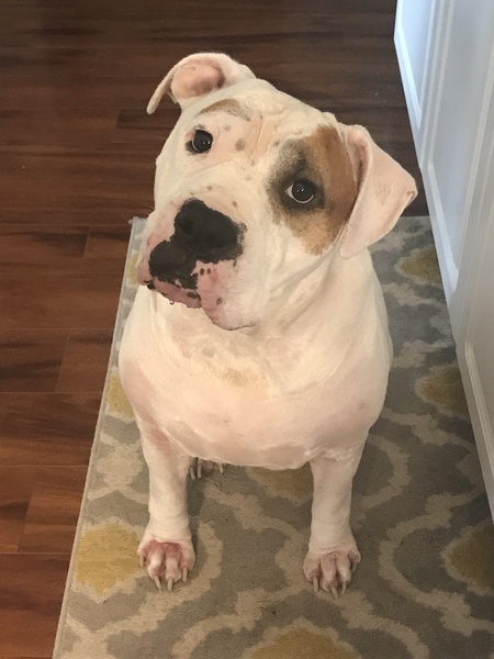 Entry image for Ted. Clicking this image will show a larger photo