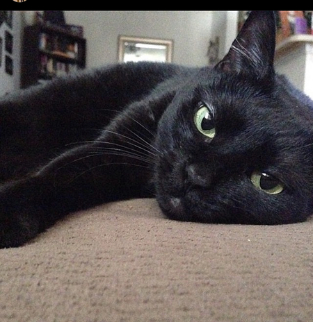 Entry image for Miller . Clicking this image will show a larger photo